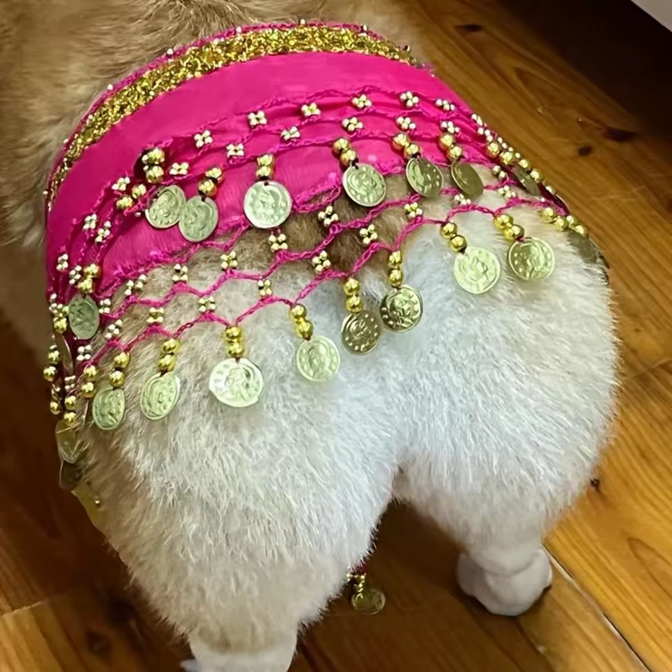 HappyPaws™ - Pet Skirt